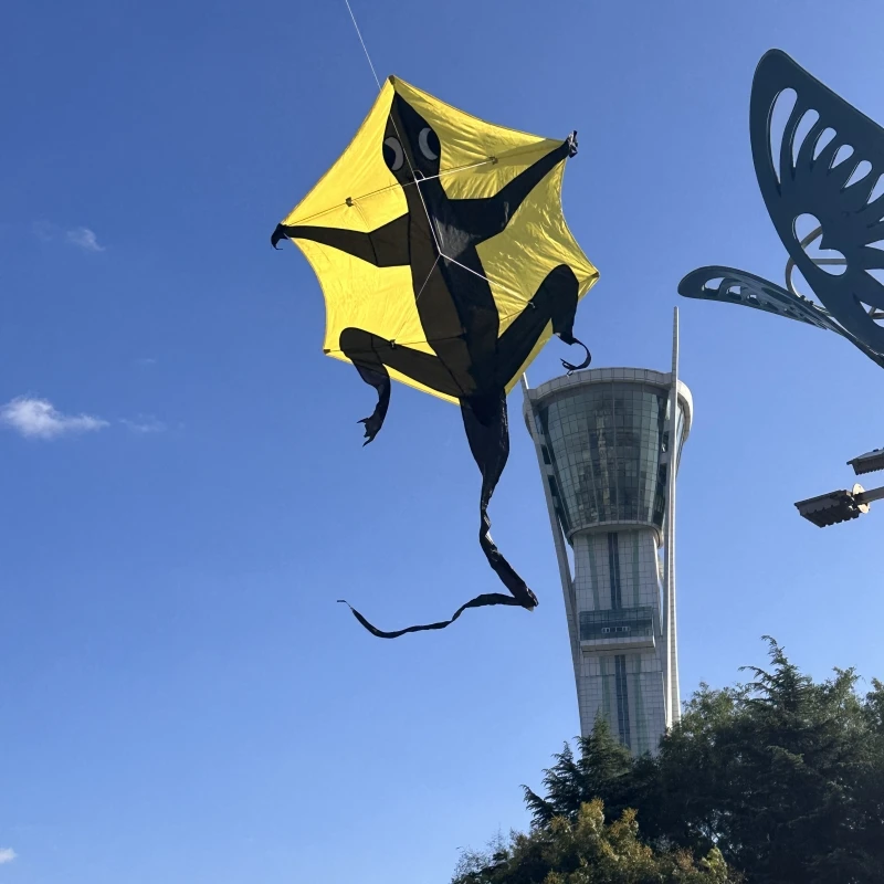 Бесплатная доставка Gecko воздушные змеи для взрослых kites fiying игрушки активного