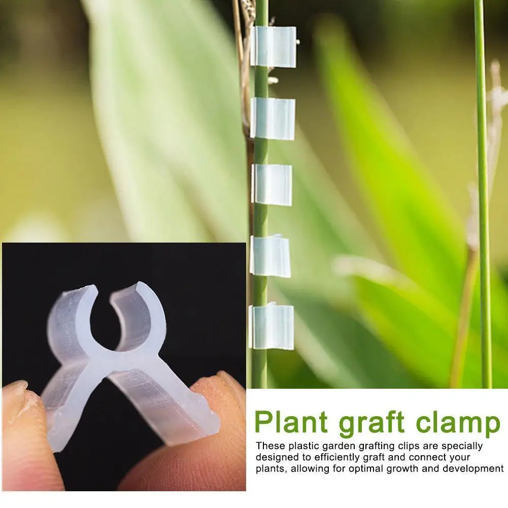 

100pcs Plant Grafting Clips Gardening Special Grafting Vegetable Clamps Clamp Eggplant Tomato Tomato Grafting Grafting Clam Y9h8