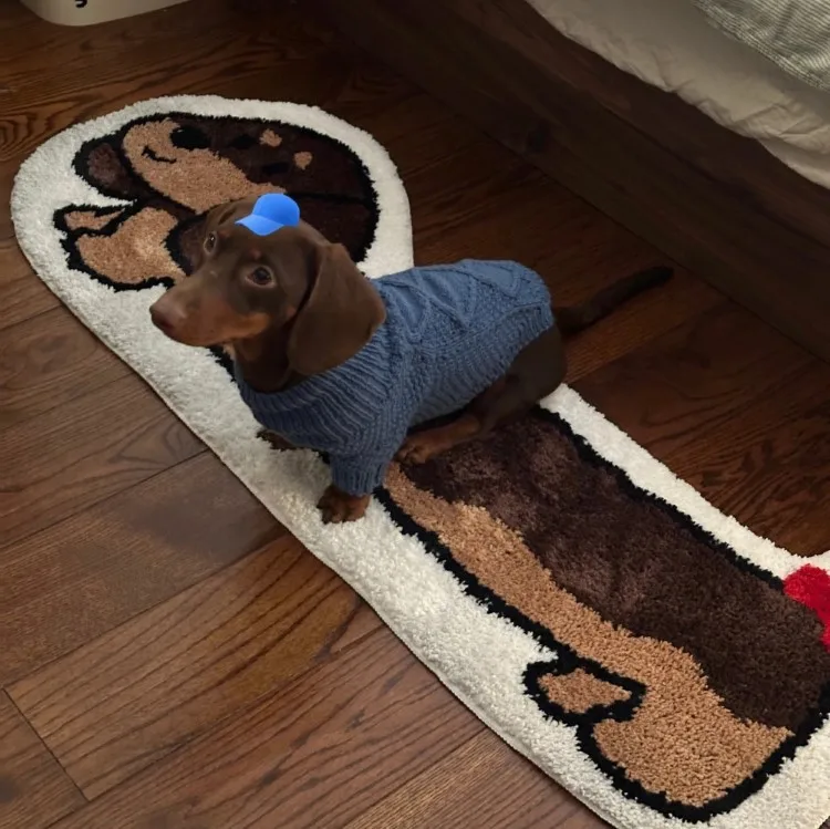 Флокирующий ковер милый для сосисок спальни антигрязевой плюшевый домашний