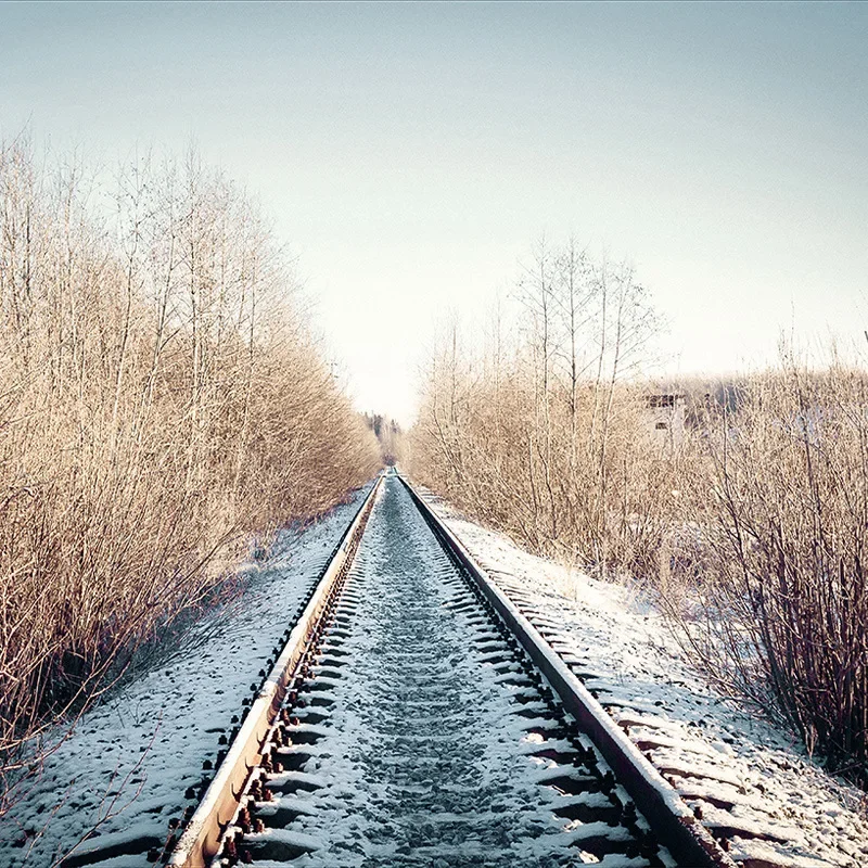 

2047098 Digital oil painting hand-colored digital painting hanging painting plant landscape beautiful decorative painting