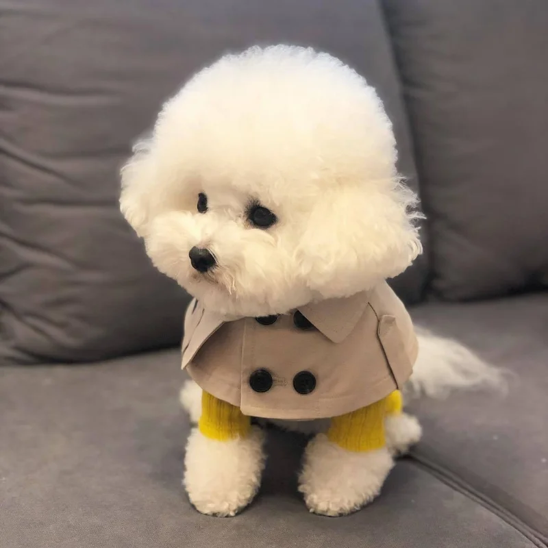 

Teddy Bichon Corgi Fighting Dogs English Style Strap-on Mouth Scarf Dog Collar Dog Trench Coat Cape
