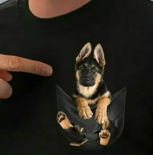 Футболка NoEnName_Null мужская короткая рукав хлопок