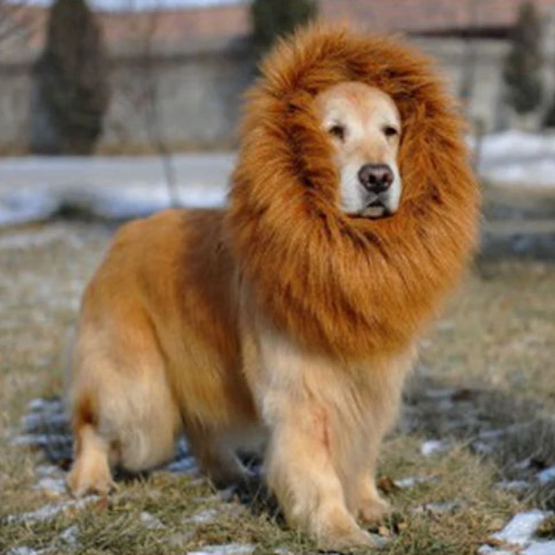 

Pet Wig Cute Lion Mane Dog Wig Pet Cosplay Clothes for Dogs Cat Party Decoration Wigs Hat Costume Cosplay Toy Pet Accessories