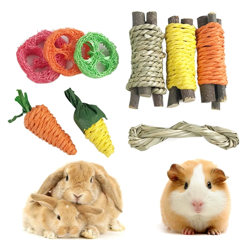 

9 PCS Hamster Toys for Guinea Pigs Rabbits Bunny Chew Toys Pet Rabbit Guinea Pig Dragon Cat Fun Toy Hamster Tooth Grinding Set