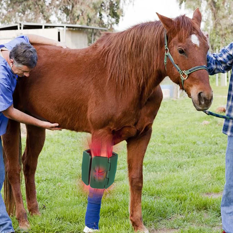 Настоятельно Рекомендуемая инфракрасная фототерапевтическая панель Lastek