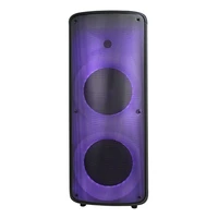 2021 new private party dual 10 inch professional portable hight quality sound wireless bt plus fire effect speaker