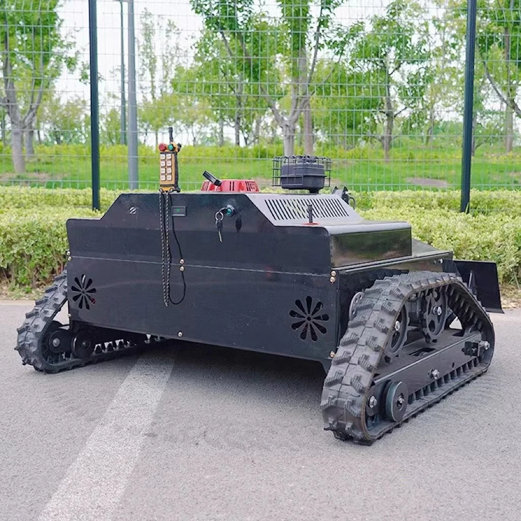 Рисунок 2 - Многофункциональная роботизированная