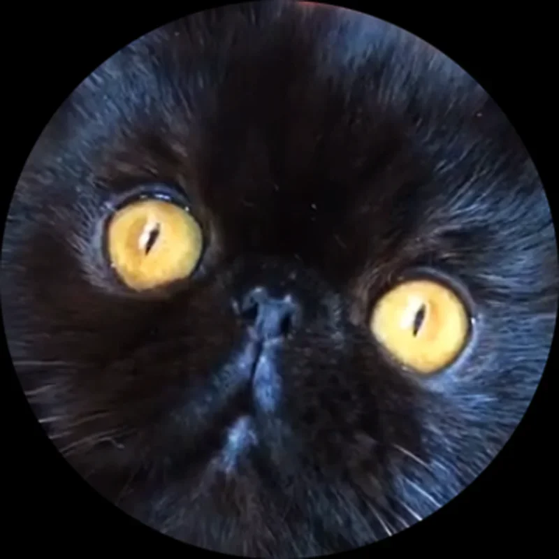 Зеркальный кабошон для глаз тигр/собака/животное 6 мм-30 мм