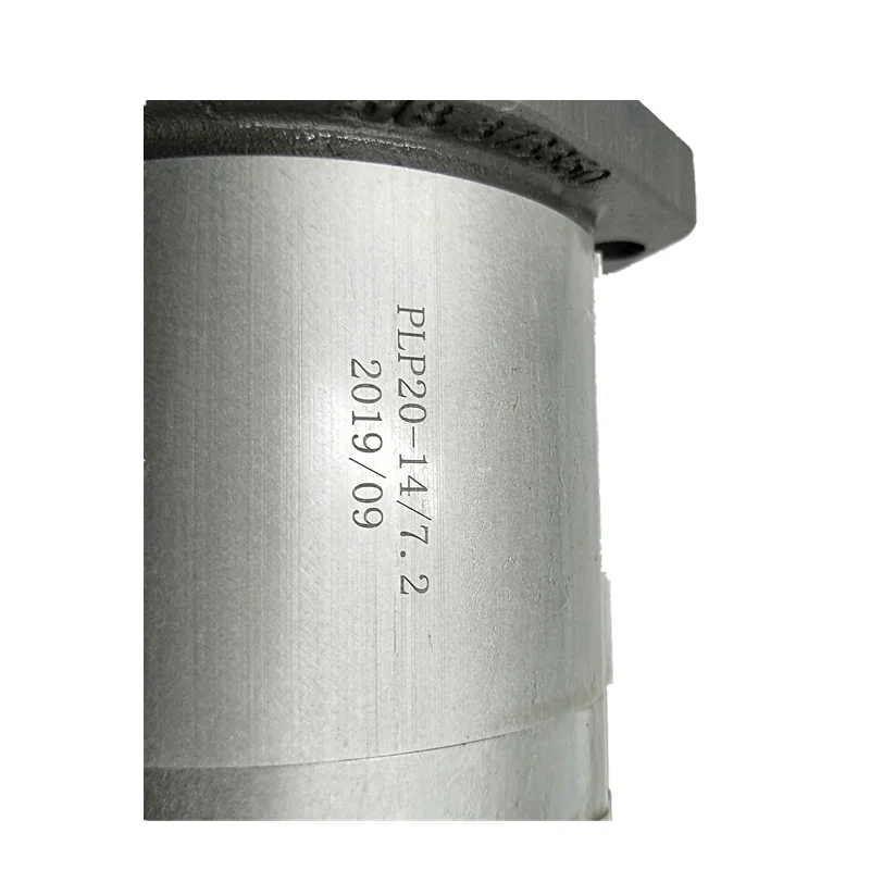 Шестеренчатый масляный насос серии CASAPPA PLP PLP20 Насос PLM PLP30 PLP10 20.8DO-31S1-LGD/GD-N-EL