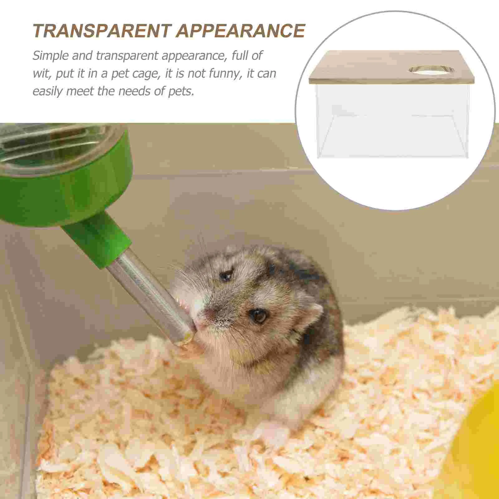 Овощи для хомяка джунгарика. Лохматый хомяк. Лохматый хомяк порода фото. Можно хомяку сельдерей. Хомяк ест траву.