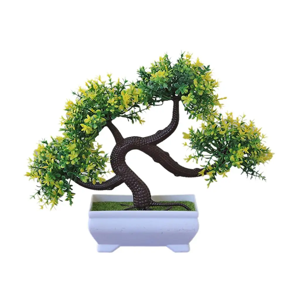 Семейный дракон бороды дерево бонсай приветственное украшение из сосны