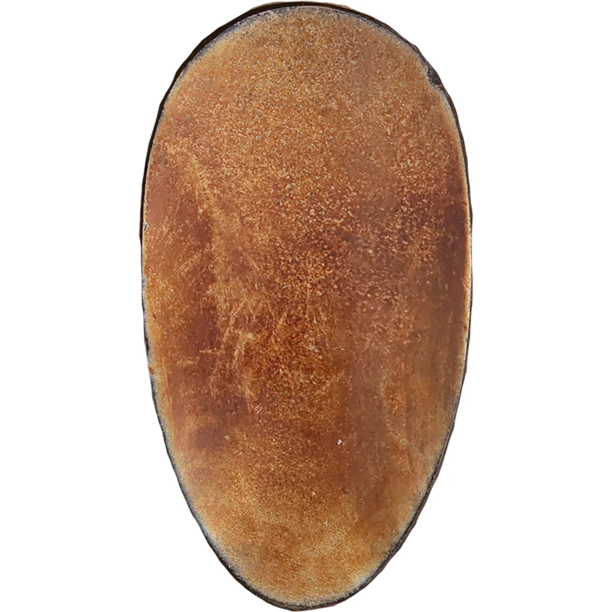 3 шт. большой декоративный натуральный рожок Швейные аксессуары прижженная