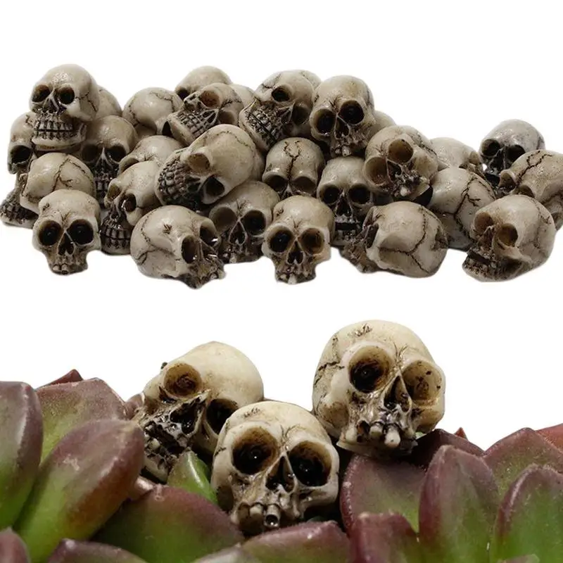 

Mini Skulls Set Skeleton Head 20 Pieces Small Mini Skulls Flowerpot Decoration Realistic Skeleton Skulls Crafts Decoration Trick