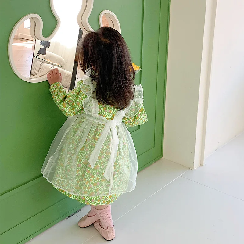 

Girl Newborn Baby Dress Spring Summer Toddler Kids Floral Mesh Ruffles Long Sweet Sleeve Dresses Children Clothing C01