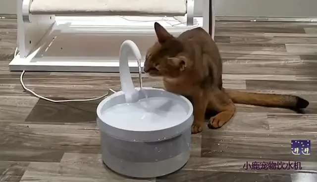 

Автоматический питьевой фонтан для кошек, бесшумная электрическая поилка, 2 л, USB, светодиодная подсветка, миска для питомцев, для кошек и соб...