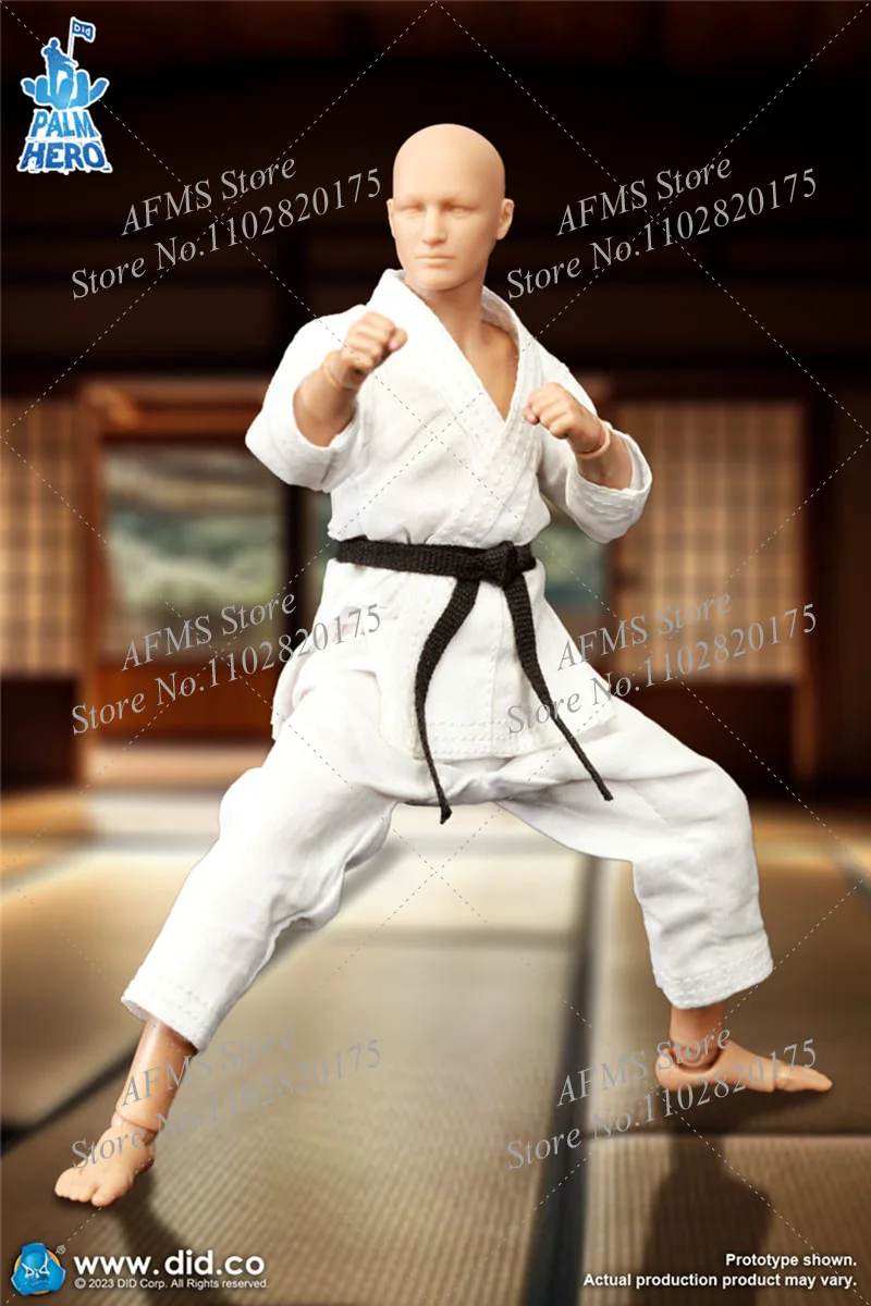 Hot Toys The Simply Fun DID SF80001 1/12 Мужская фигурка каратиста