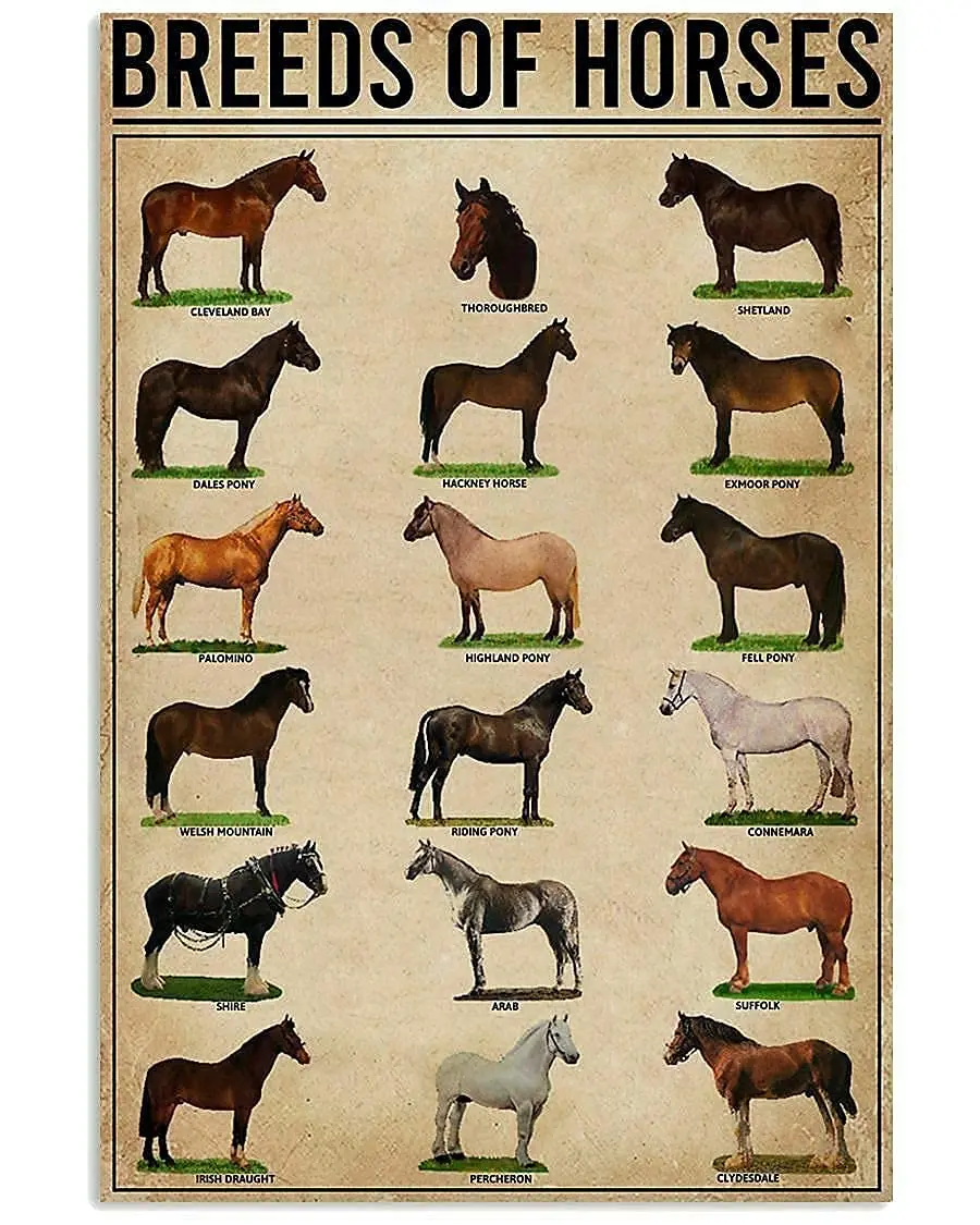 

Breeds of Horses Vintage Poster Metal Tin Signs Iron Painting Plaque Wall Decor Bar Club Novelty Bathroom Kitchen Toilet Paper R
