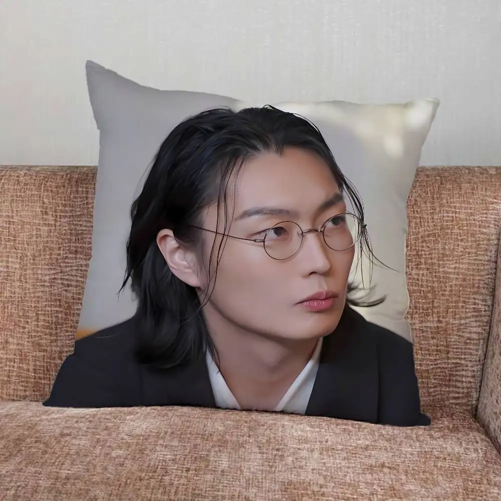 Наволочки R-Roh J-Jae Won 40x40/45x45/50x50/60x60 см из полиэстера