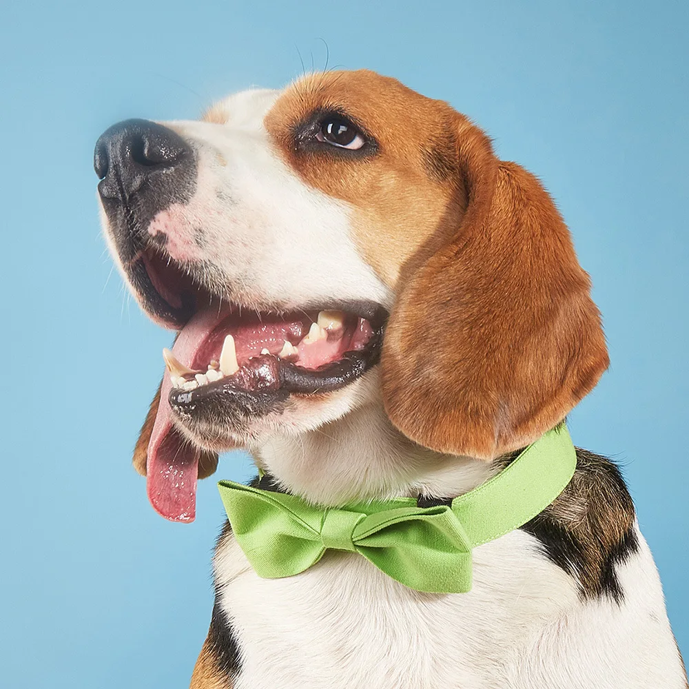 Регулируемый липучка для домашних животных формальный галстук смокинг