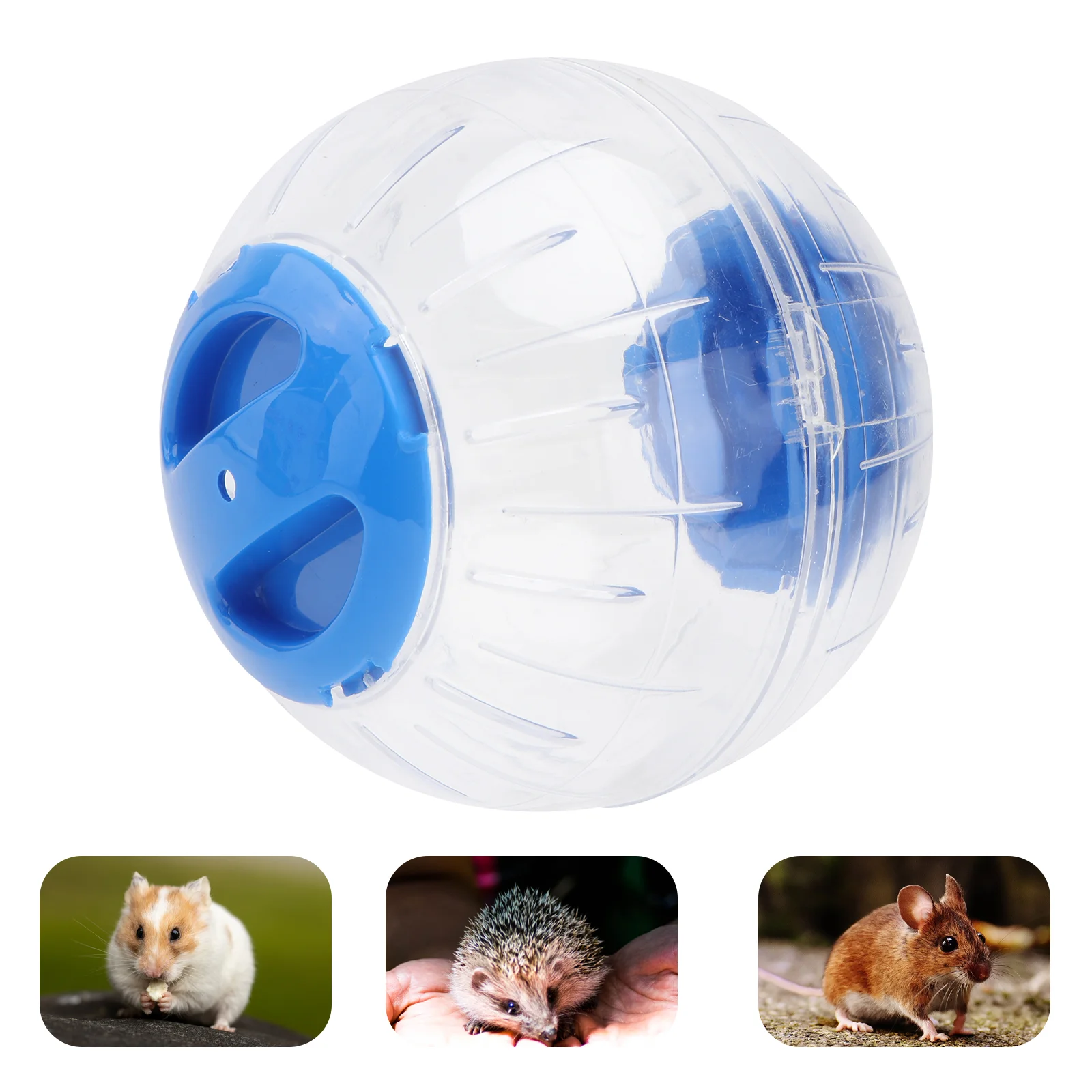 

Hamster Exercise Wheel Mini Toys Pet Inch Gerbil Dwarf Toy Running Car Quiet Trot Cute Guinea Mouse Hamsterball Training