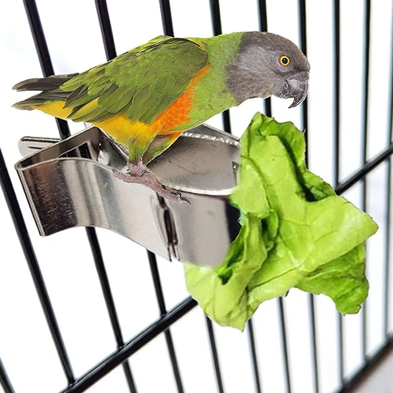 

Держатель для птиц, прочный держатель для кормления попугаев, фруктов, овощей