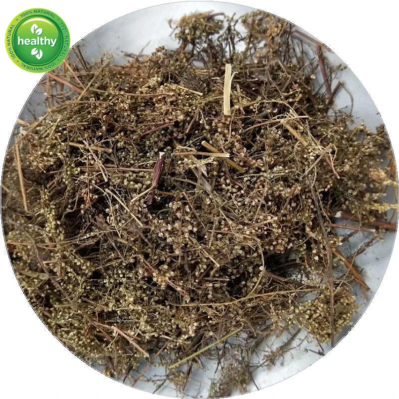 

Artemisia Annua Artemisia Annua Tea Artemisia Annua Bulk Artemisia Annua Herb Sweet Wormwood Dried Bulk Herbs