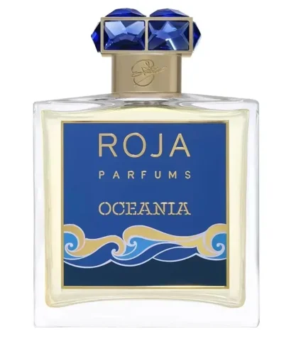

Roja Perfume 100ml Roja Elysium Parfums Long Lasting Smell Lemon Fruity Floral Fragrance Pour Homme Cologne Elixir Spray