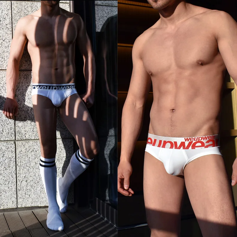 2PCS/Lot Summer Low Waist Sexy Cool and Silky Thin Men's Underwear Briefs Shorts Gay U Convex Design Online Store Free Shipping