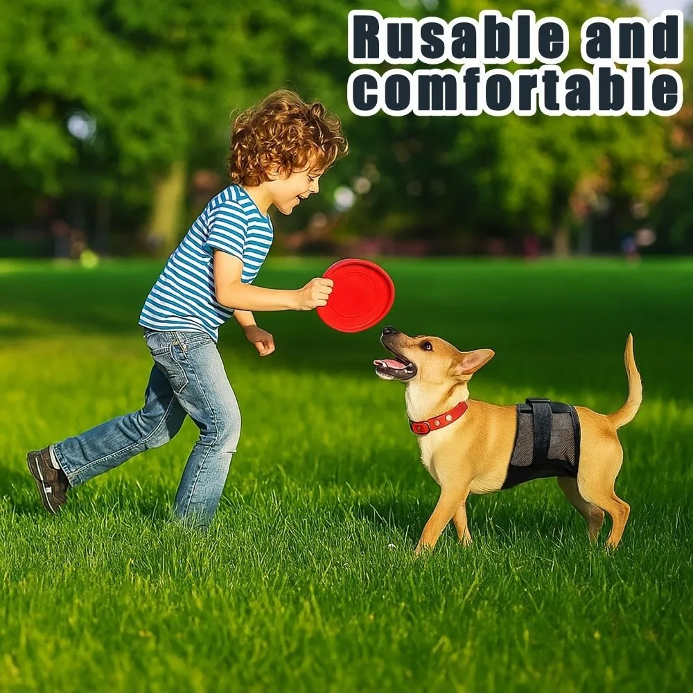 Фото Дышащие сетчатые физиологические штанишки для собак, моющиеся, с защитой от приставания, многоразовые трусики для собак, предотвращающие случайное мочеиспускание №4