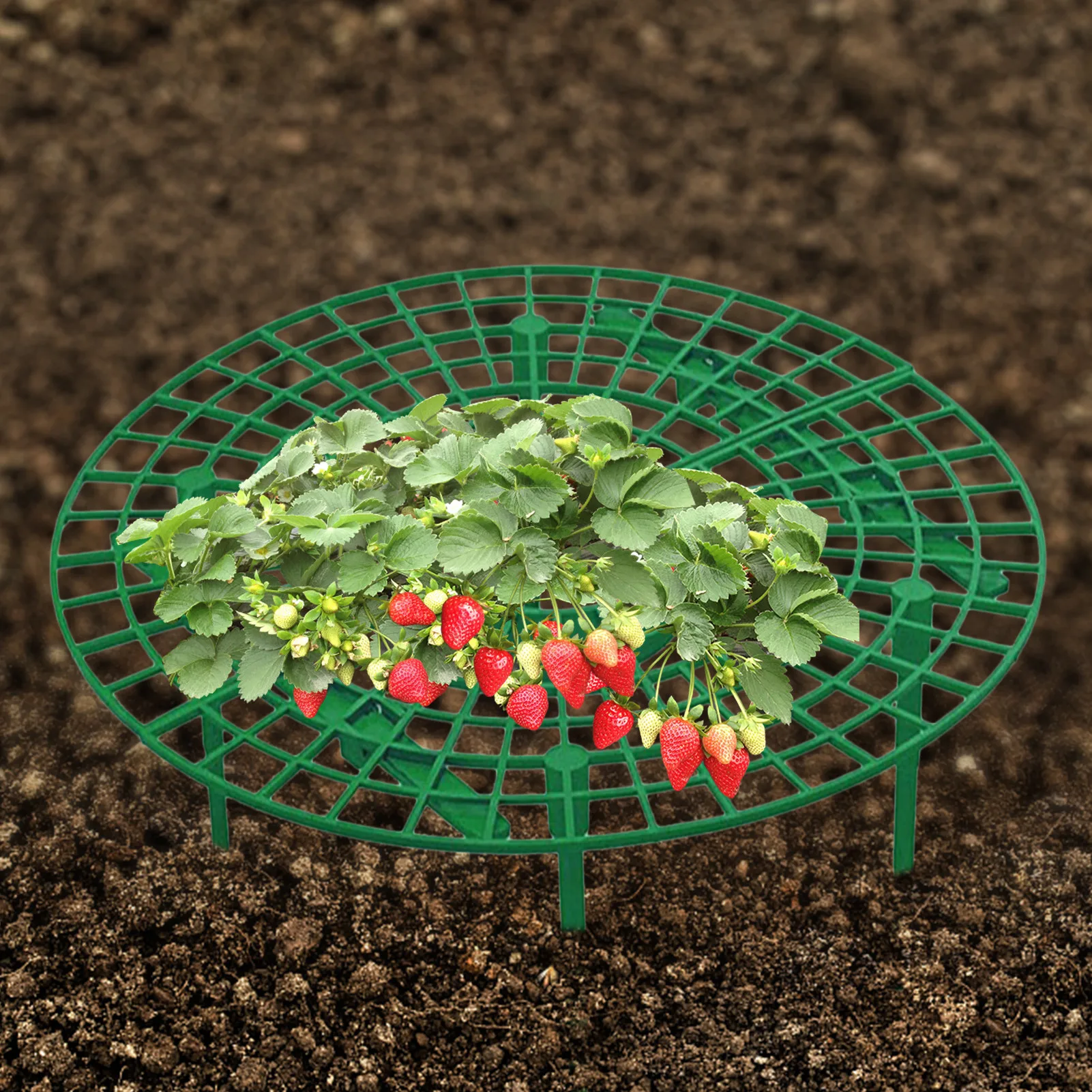 

1/10 Pcs Strawberry Plant Supports Holder Adjustable Fruit Vegetable Growing Racks Cultivation Frame For Greenhouse Bare Root