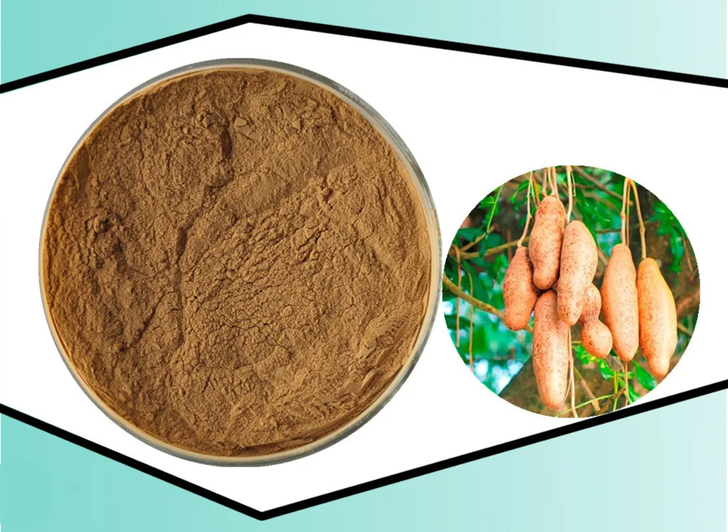 Kigelia fruit extract ratio-enlarging holy fruit concentrated Kigeliafruit Plant Health Extractive Big Bust Cup Up