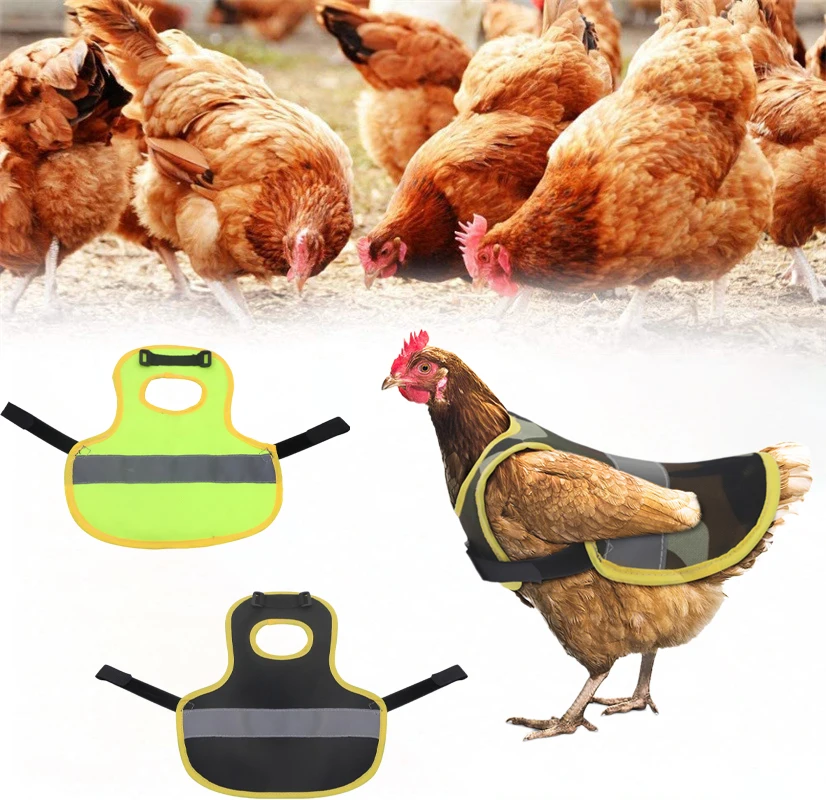 

6Pcs Pet Reflective Vest Hen Saddle Adjustable Chicken Aprons Hens Cold Protection Vest Chickens Goose Poultry Dog Duck Supplies