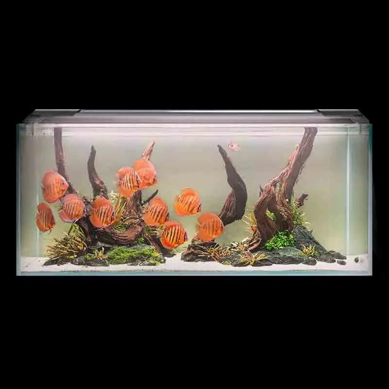 Fish Tank Light Holder Hanging Plant Grow Luz De Pesca Aquarium Equipment