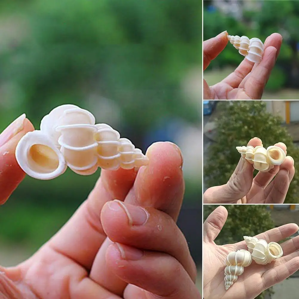 

3-5cm Natural Conch Specimen Snail Collection Decor Sea Home Landscape Fish J4e1