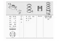 

396500 поршневое кольцо двигателя P406 P806 P605 R P306 xxxxxxxx406, 0 16V (STD)