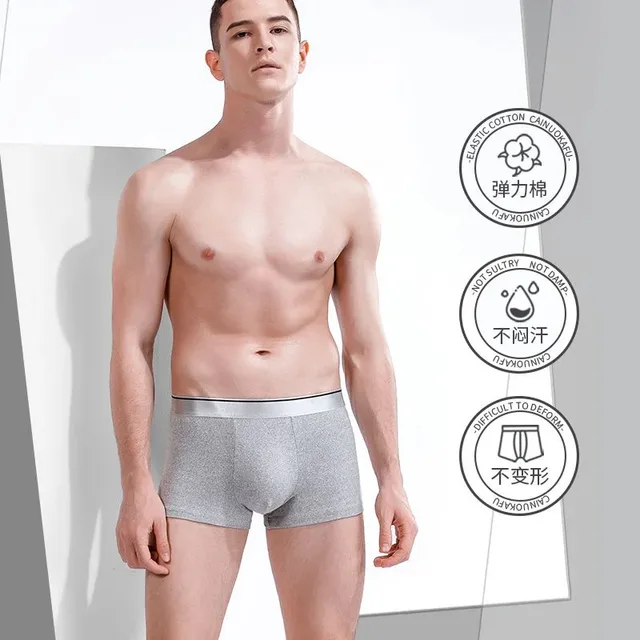 Men Boxer Men's Panties Men Underwear Boxers Boxer Shorts Boxershorts Solid Breathable Underpants Plus Size Sexy Shorts L-5XL 2