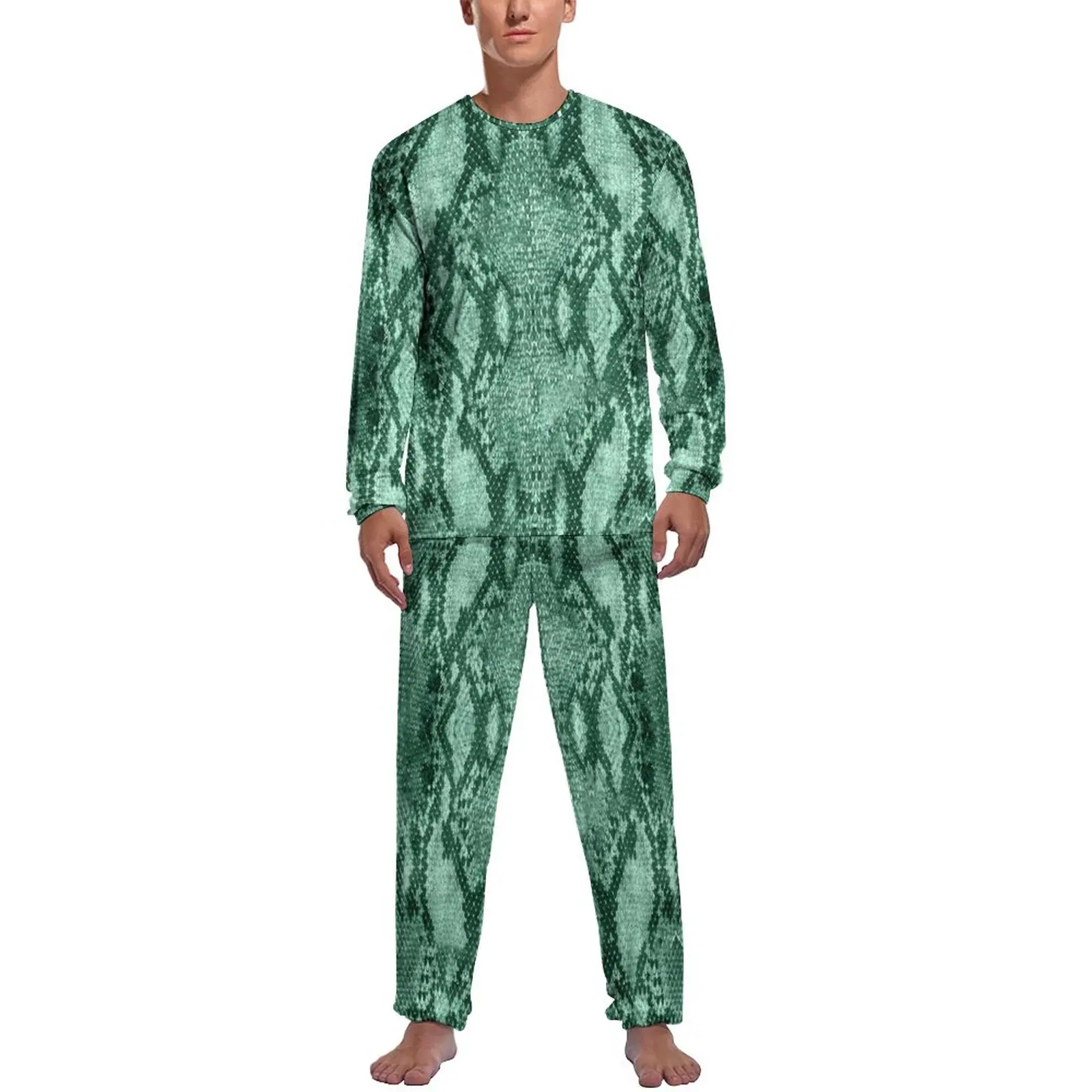 

Snakeskin Print Pajamas Light Green Animal Man Long Sleeve Warm Pajamas Set Two Piece Leisure Autumn Sleepwear Birthday Present