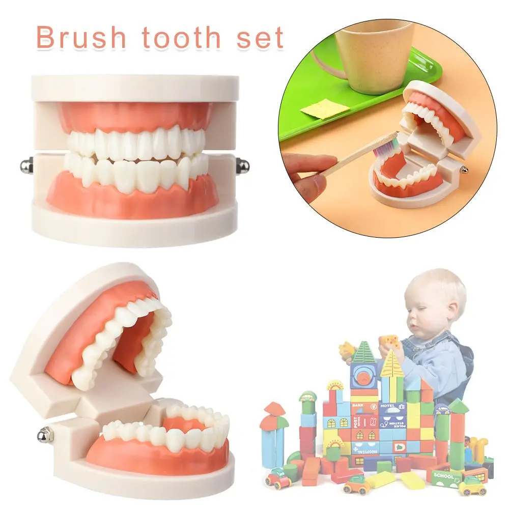 

Intelligence Childhood Education Brushing Tooth Set Simulated Practical Life Teaching Brush Teeth Educational Toys