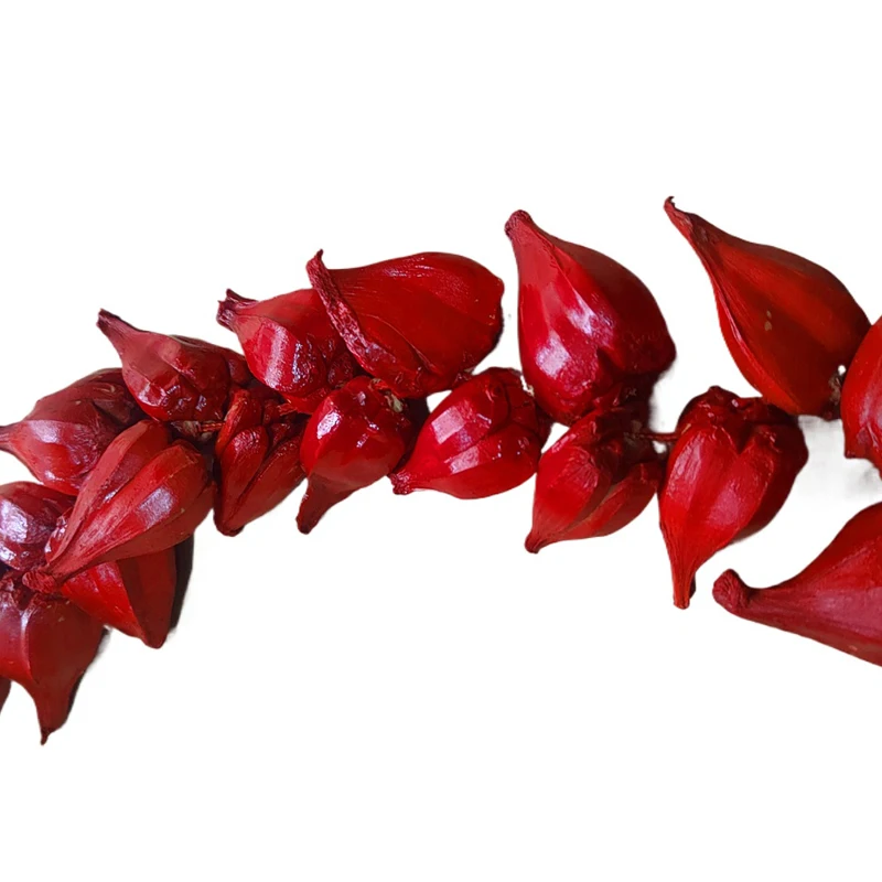 Традиционное ожерелье из натуральной красной волны самоанское официальное