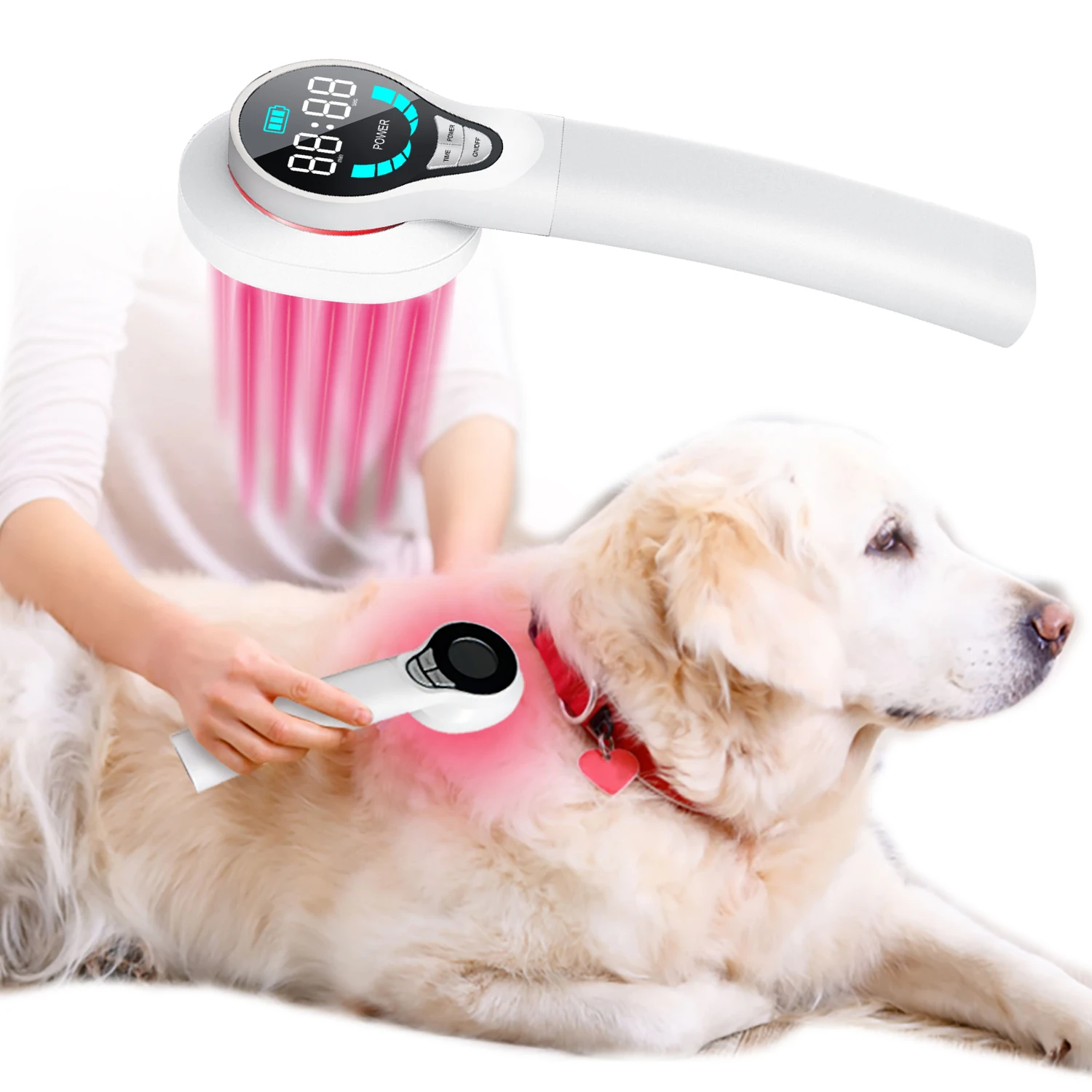 

LASTEK Handheld Medical Laser Therapy Veterinary Equipment Device for Pet Human Arthritis Pain Relief Wound Healing Instrument