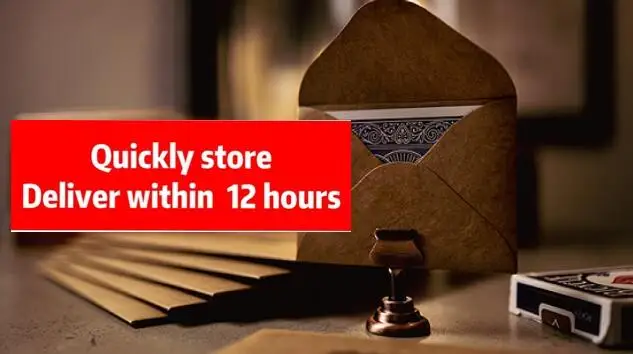 

2021 Tyvek Envelope System by Ryan Magic tricks