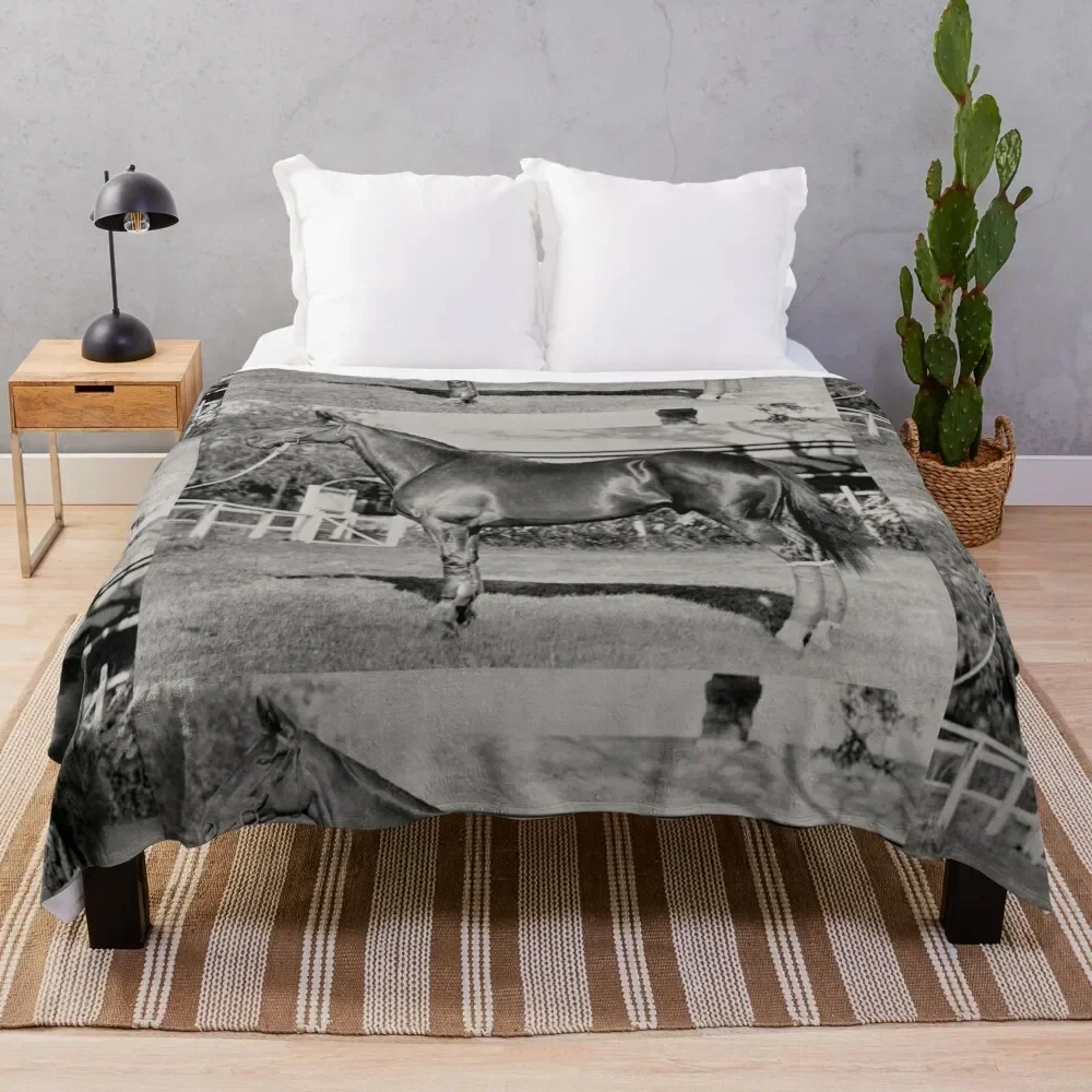 Фланелевое одеяло Чемпион австралийской гоночной лошади Phar Lap