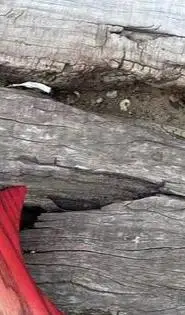 Электрическая гитара без головы шея из розового дерева корпус красного пепла