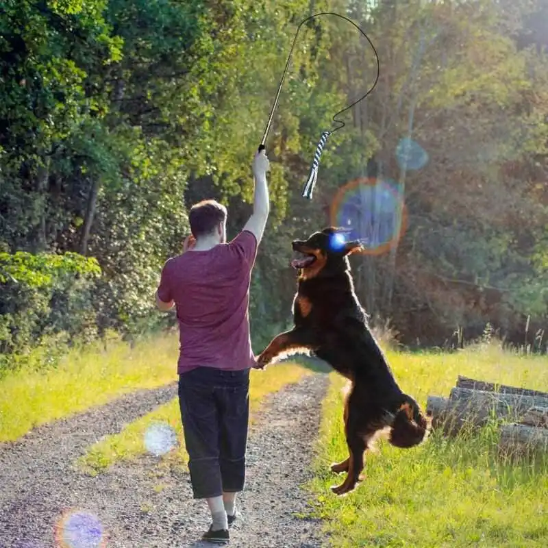 

Wand Tug Rope Toy Outdoor Play Fun Interactive Toys Dogs Flirt Pole Extendable