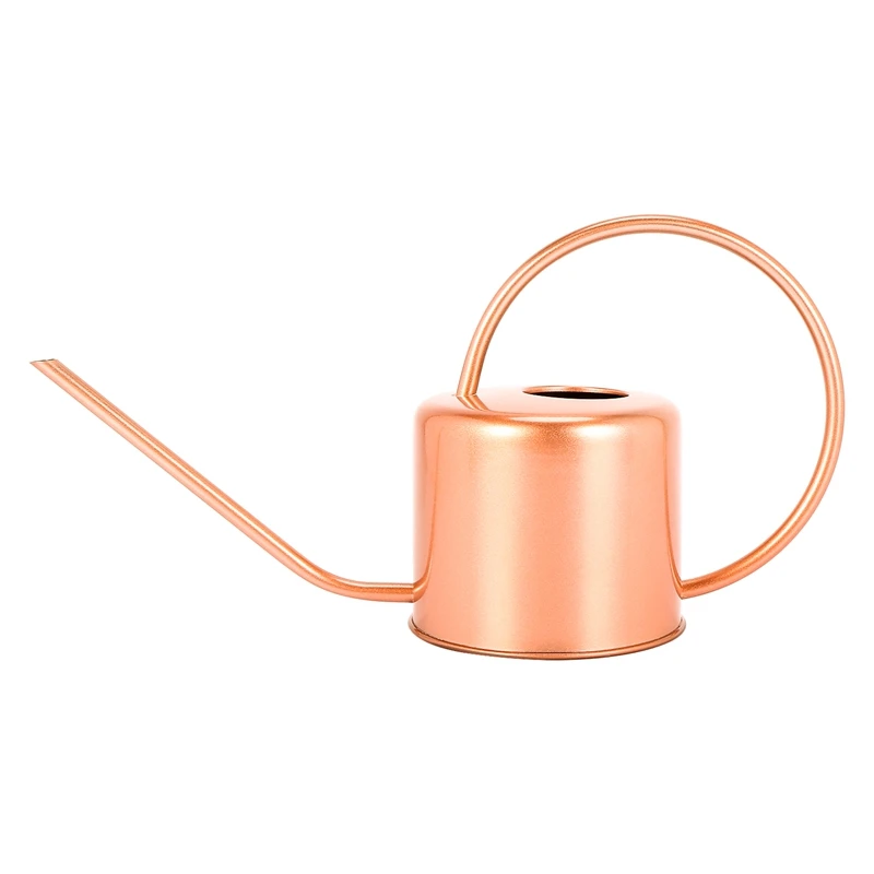 

1300Ml Watering Can Metal Garden Stainless Steel For Home Flower Water Bottle Easy Use Handle For Watering Plant Long Mouth Gard