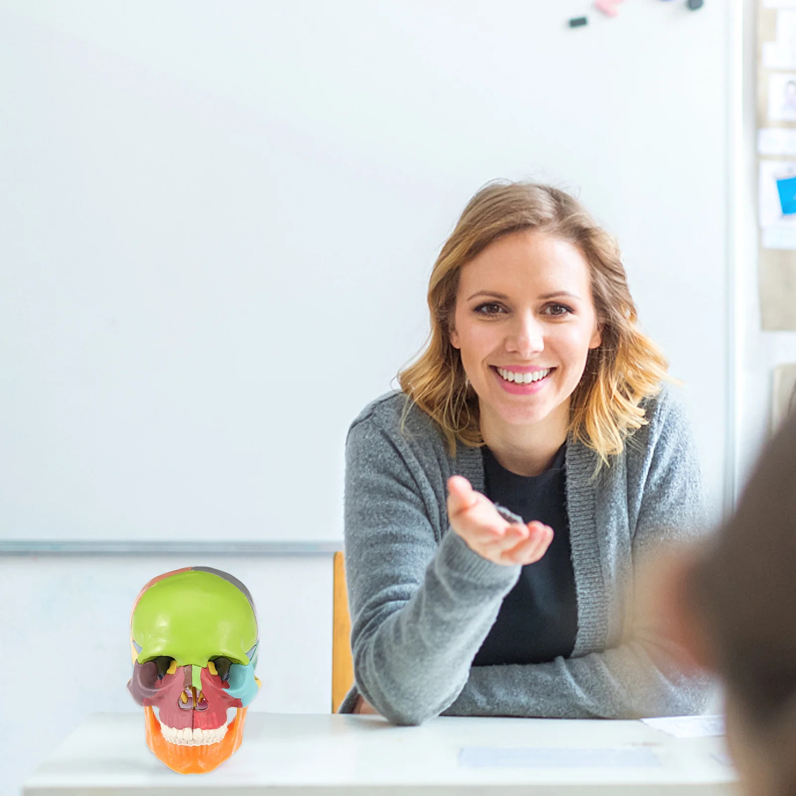 

Simulated Medical Model Manikin Human Pvc Shape Ornament Statue Desktop Decor Colored Head