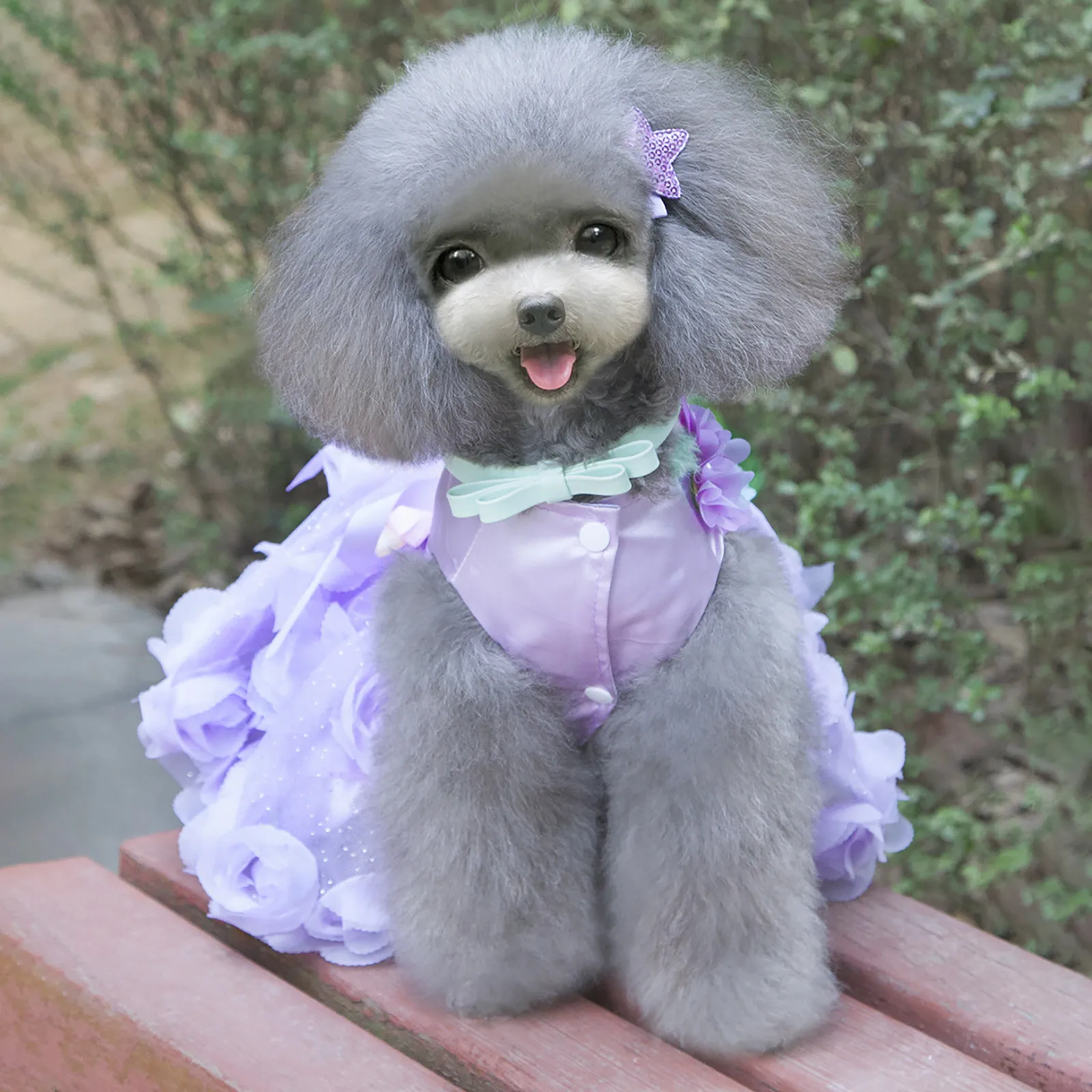 

Pet Dresses Spring And Summer Pet Cothes Spring And Summer Cute Pet Supplies Girl Cat Accessories Dog Dresses for Large Dogs Boy
