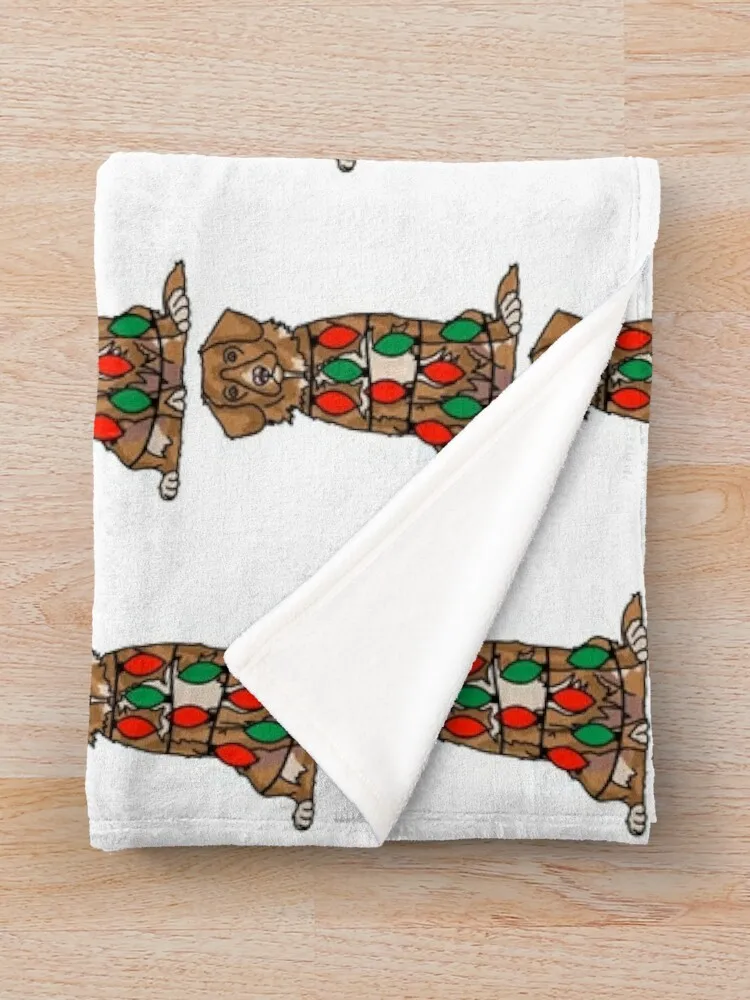 Собака Толлер с рождественскими огнями обернутая вокруг тела — праздничный и