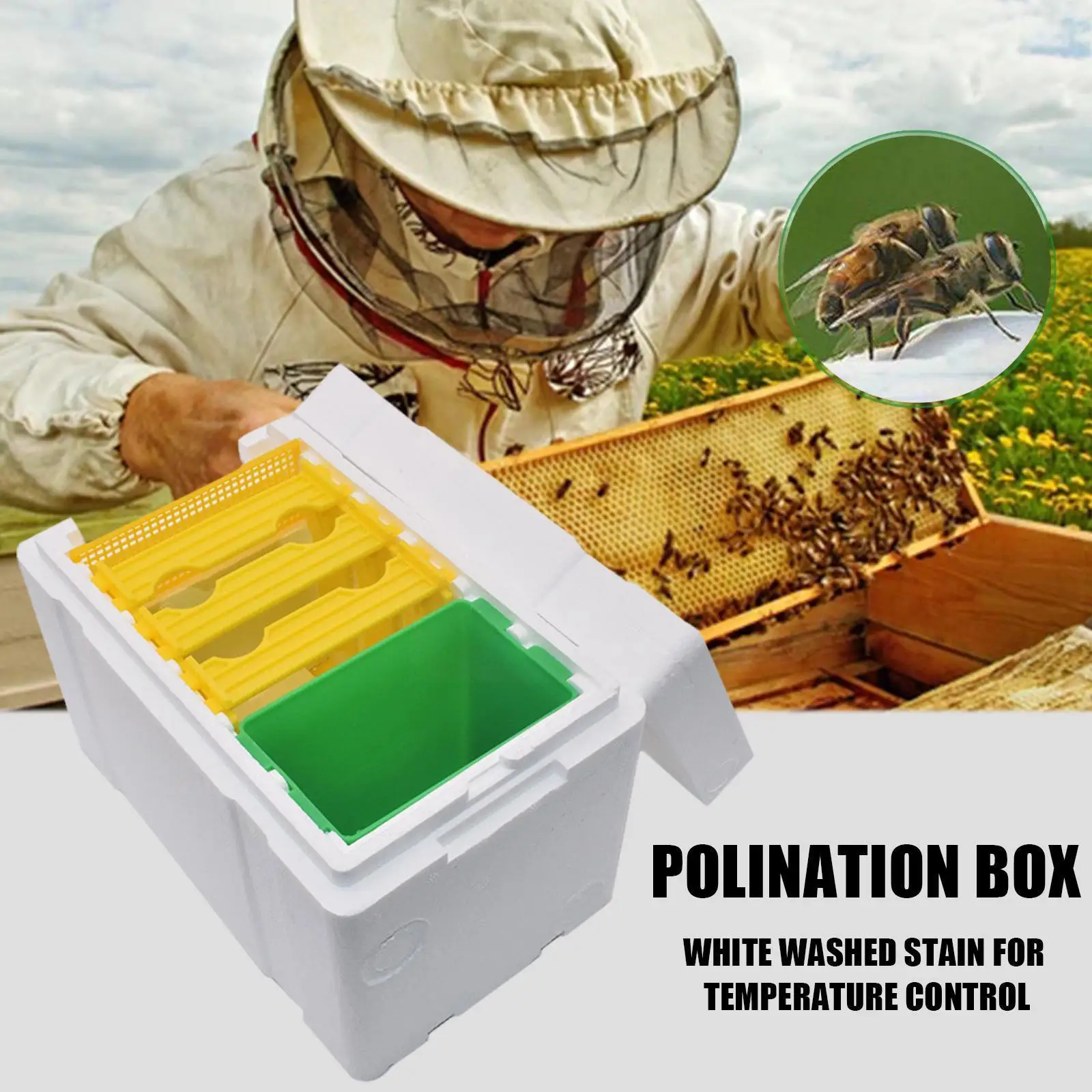 

Queen Bee Breeding Box Bee Mating Box Foam Bee Hive Box Garden Box Breeding Bee Beekeeper Pollination Equipment Beekee W1m2