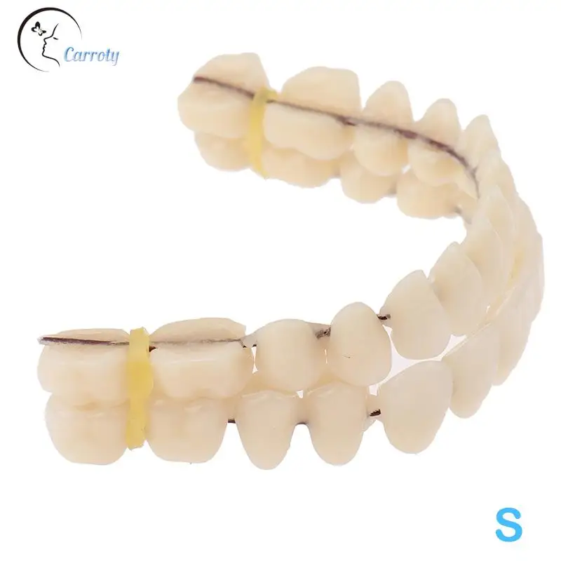 

1Pcs Resin False Teeth Model Dentures Dental Material Teeth Teaching Model Dedicated Teeth Manufactured Artificial